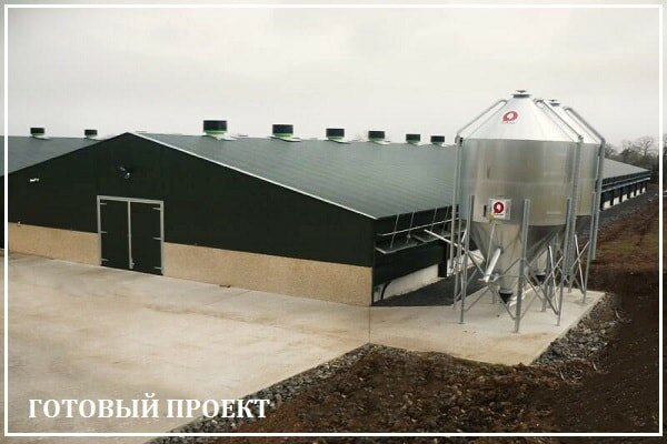 Этапы возведения птицефабрики от завода ВелесТент-ссв